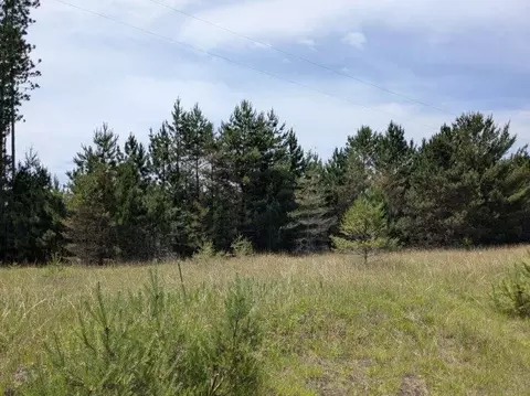 V/l Curtis, Hale, MI 48739