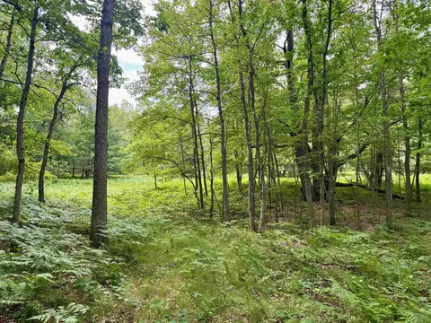 Parcel M Rosted, Lake City, MI 49651