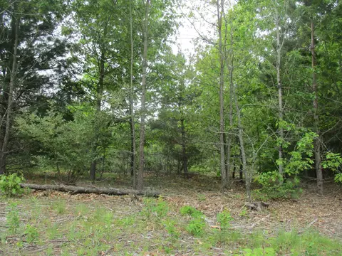 13272 60th, Remus, MI 49340 photo 3