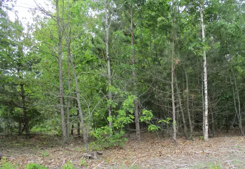 13272 60th, Remus, MI 49340 photo 2