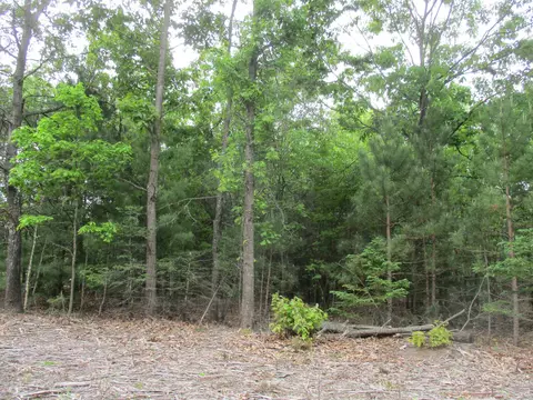 13272 60th, Remus, MI 49340 photo 5