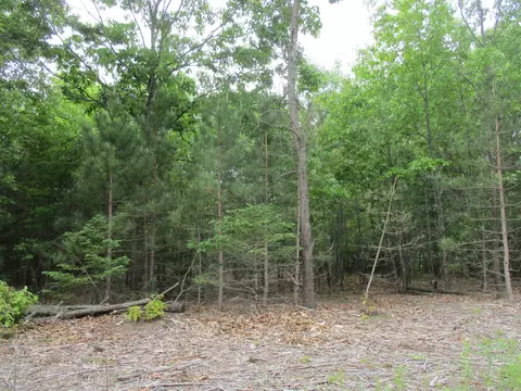 13272 60th, Remus, MI 49340 photo 4