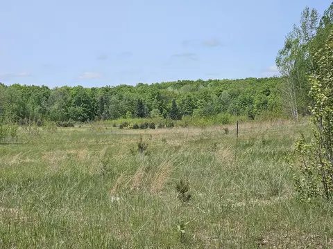 0 W Moorestown, Lake City, MI 49651