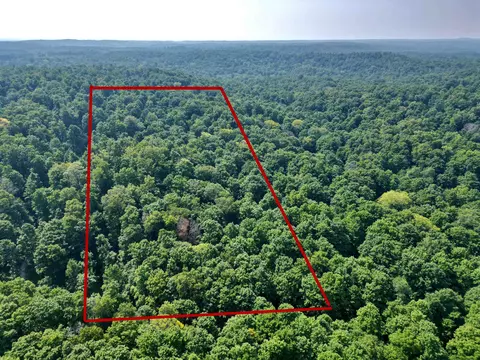 10 Acres Vl Wildwood Apt #(10 ACRES), Mancelona, MI 49659
