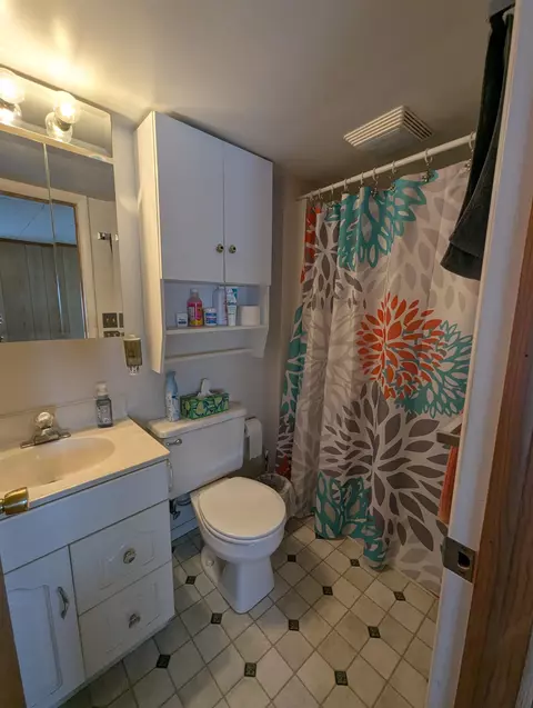 847 S S Cres, Au Gres, MI 48703 photo 31