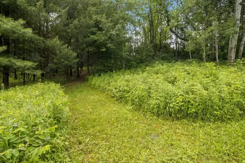16966 Maple, Leroy, MI 49655 photo 38