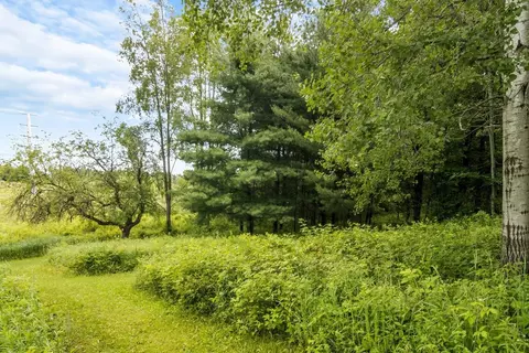 16966 Maple, Leroy, MI 49655 photo 37