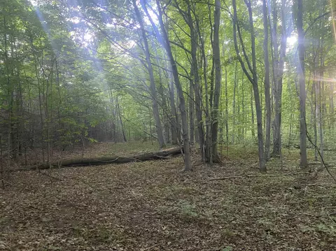 0 Wheeler Oaks, Williamsburg, MI 49690