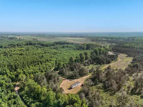 View/Area - 7475 31, Manton, MI 49663 photo 7 of 8