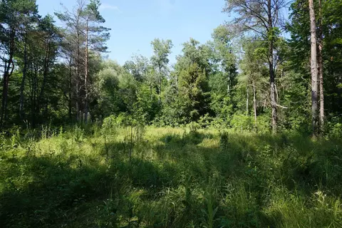 Nearman, Au Gres, MI 48703 photo 3