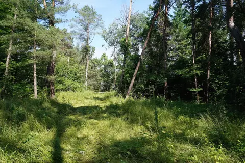 Nearman, Au Gres, MI 48703 photo 2