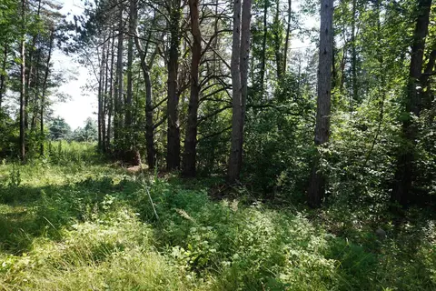 Nearman, Au Gres, MI 48703 photo 4