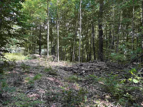 116 Knoll One, Leroy, MI 49655