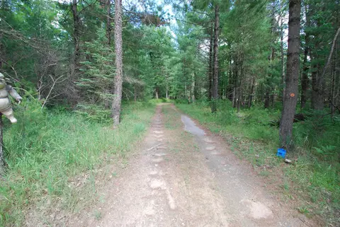 Vl Primrose, West Branch, MI 48661