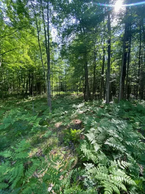 2569 E Wildwood, Mikado, MI 48745