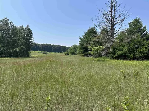 Parcel 1 Bright, Maple City, MI 49664