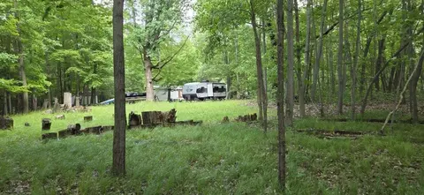 10511053 Carmen, Lake Isabella, MI 48893