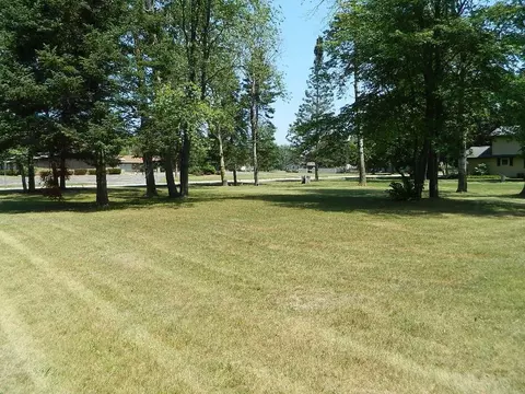 tbd Forest, Clare, MI 48617 photo 2