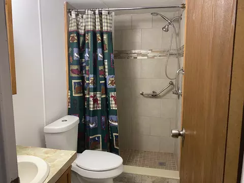 Bath - 7929 E 10, Manton, MI 49663 photo 1 of 2