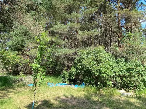 Exterior - 7929 E 10, Manton, MI 49663 photo 19 of 22