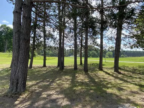 Other - 7929 E 10, Manton, MI 49663 photo 14 of 14