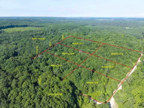 12 Hill Crst # -C, Elmira, MI 49730