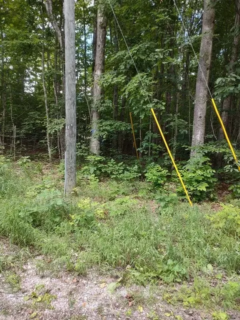 000 Pratt, Lake Ann, MI 49650