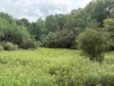 11546 E 3 12, Luther, MI 49656
