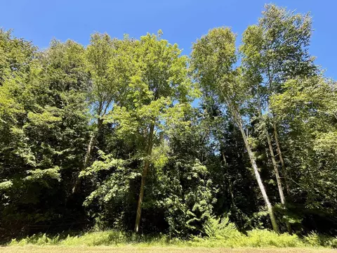 0 Concord #LOT : 131-32, Oscoda, MI 48750