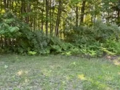 N/a Huron Woods, Tawas City, MI 48763