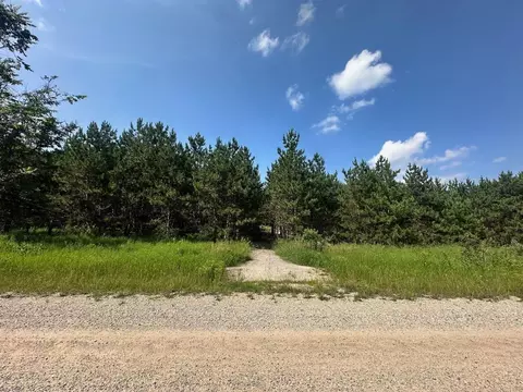 7304 Hemstreet, Bellaire, MI 49615
