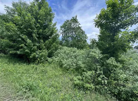 lot S 32 S Ski Vw, Cedar, MI 49621 photo 5