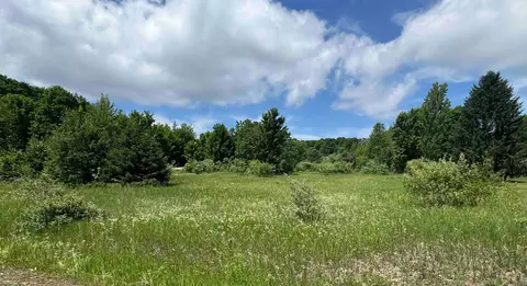 lot S 32 S Ski Vw, Cedar, MI 49621