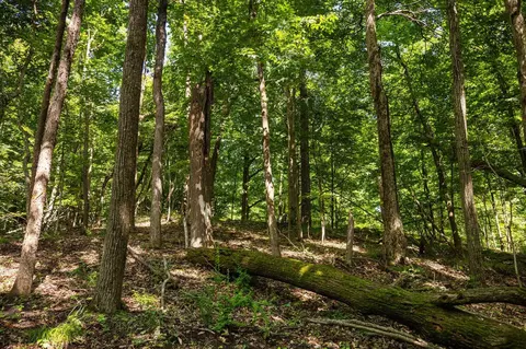 Parcel 4 Maxey, Arcadia, MI 49613 photo 8