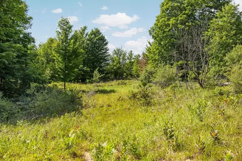 Parcel 4 Maxey, Arcadia, MI 49613 photo 5