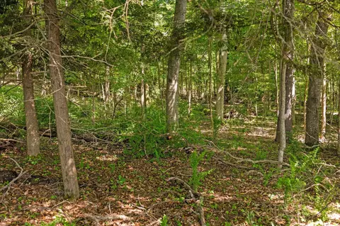 Parcel 4 Maxey, Arcadia, MI 49613 photo 6