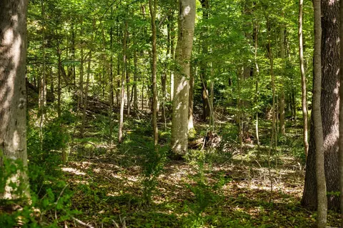 Parcel 4 Maxey, Arcadia, MI 49613 photo 4