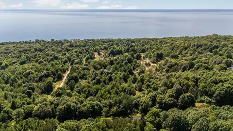 Parcel 4 Maxey, Arcadia, MI 49613 photo 3