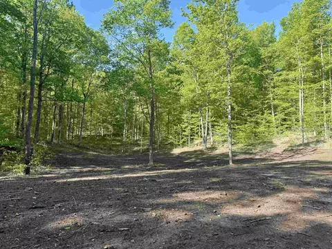 1474 E Solaris #LOT : B11, Maple City, MI 49664