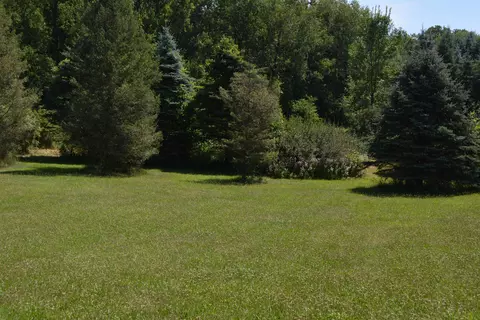 tbd Rose Marie, Mount Pleasant, MI 48858