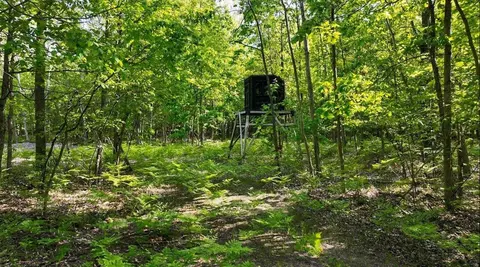 2351 S 10 Mile, Breckenridge, MI 48615
