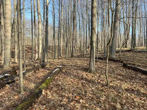 9357 W W Cir, Stanwood, MI 49346