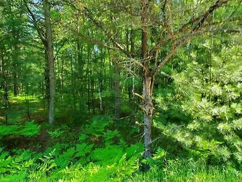 0 Hillside #LOT 62 HILLSIDE DRIVE : 62, Alger, MI 48610