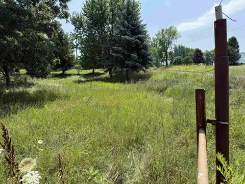 5906 N Crawford, Rosebush, MI 48878