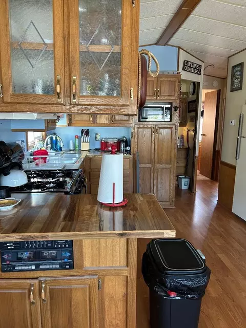 3675 E Michigan #LOT 53 & E-161, Au Gres, MI 48703 photo 8