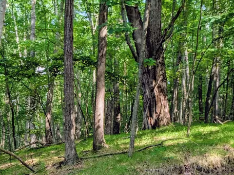 11717 Broken Arrow #LOT : 226, Canadian Lakes, MI 49346