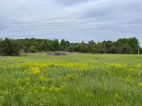 490 SE Mitchell, Kalkaska, MI 49646