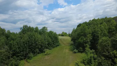 X Greenwood, Gladwin, MI 48624