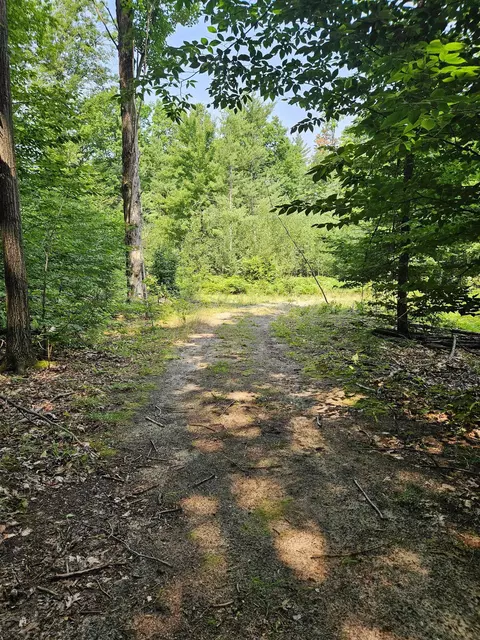 11268 Watson, Williamsburg, MI 49690 photo 6