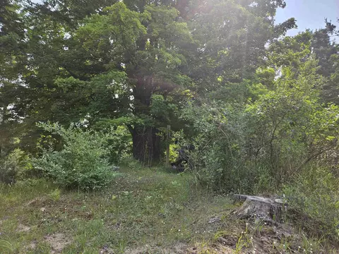 11268 Watson, Williamsburg, MI 49690 photo 19